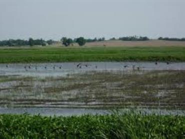 Picture of waterway on the prairie